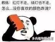 贵族平台